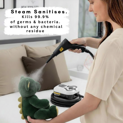 SteamPure Pro